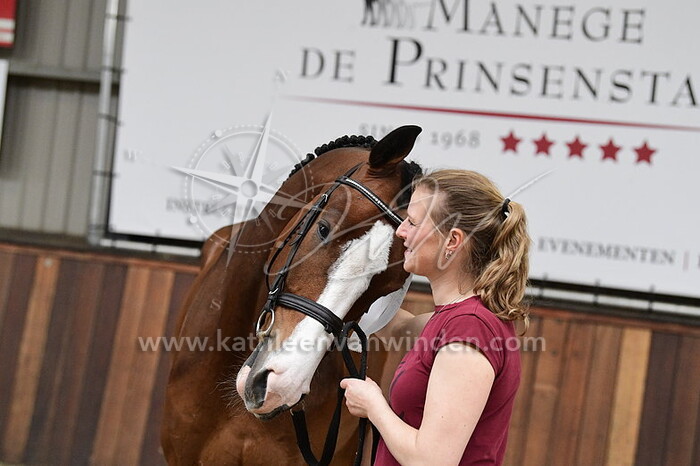 Phoenix - Christel de Roover