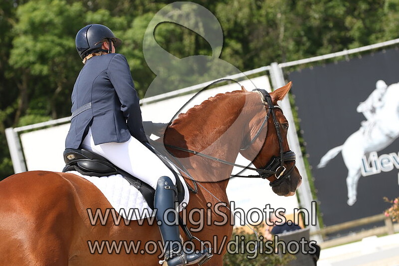 Kouros vh Bloemenhof