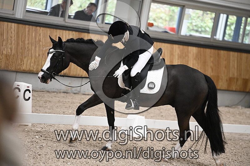 Unique Drum van het Juxschot