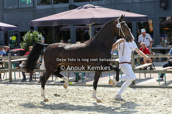 Roliena ( Cizandro x Ditisem )
