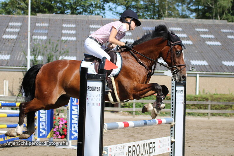 CH Koudum 27-07-2019 Pony's L/M/Z