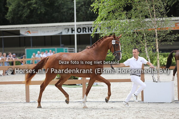 193 Odessy van de Kerkhoeve