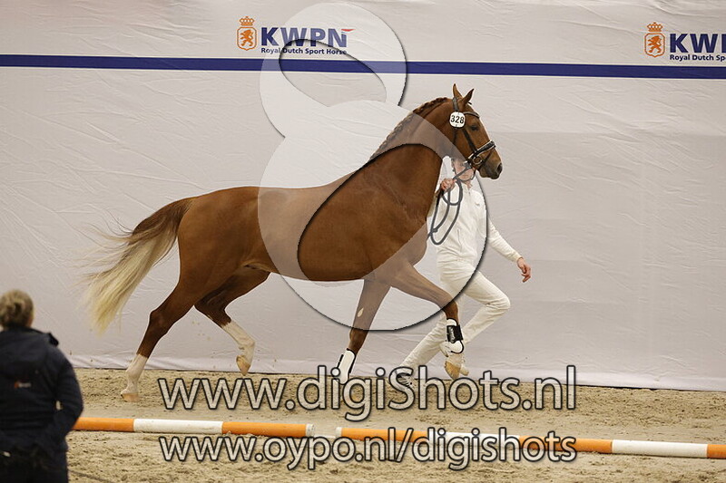 Everglow Gold v. Escolar