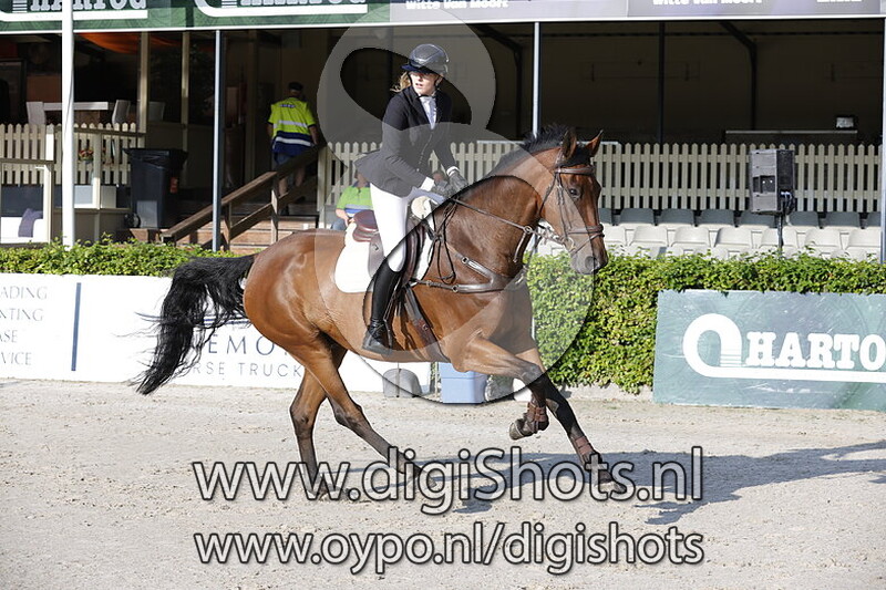 Springen verenigingskampioenschap paarden 0.90