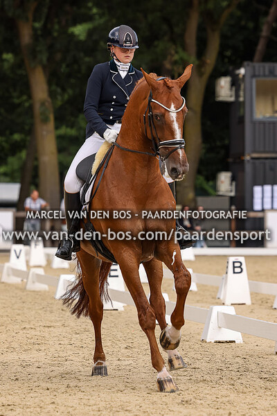 20230721-Ring-3-102-paard-ZZL - nr11 - nr15