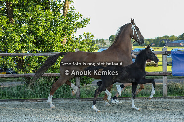 92 - Vocalist GSM ( Pavarotti x Eebert ) 