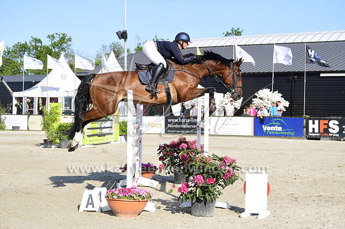 Mandy Grootegoed - Little Joe van het Indihof