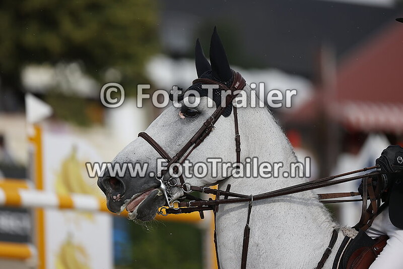 maikel van der vleuten