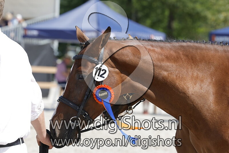 Terette v. New Dreams