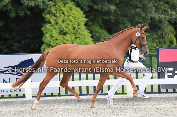 26 Bacall de Hus v Bordeaux