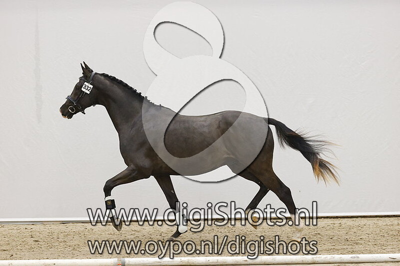 Next Pleasure v. Dark Pleasure