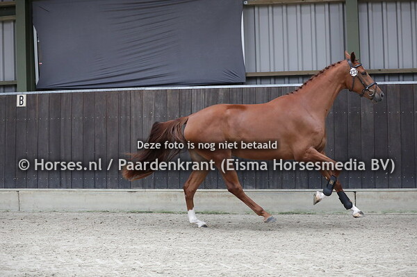 28-07-2020 13:53:26