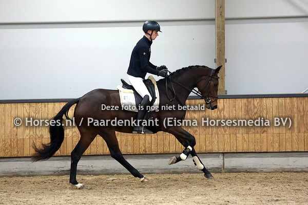 33 Selene B (Spielberg x Geneque v. Florencio)