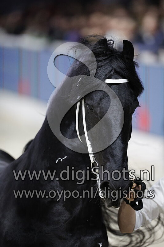 Matthys 504 v. Norbert 444