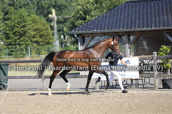 77 Olazirginia vd Watermolen