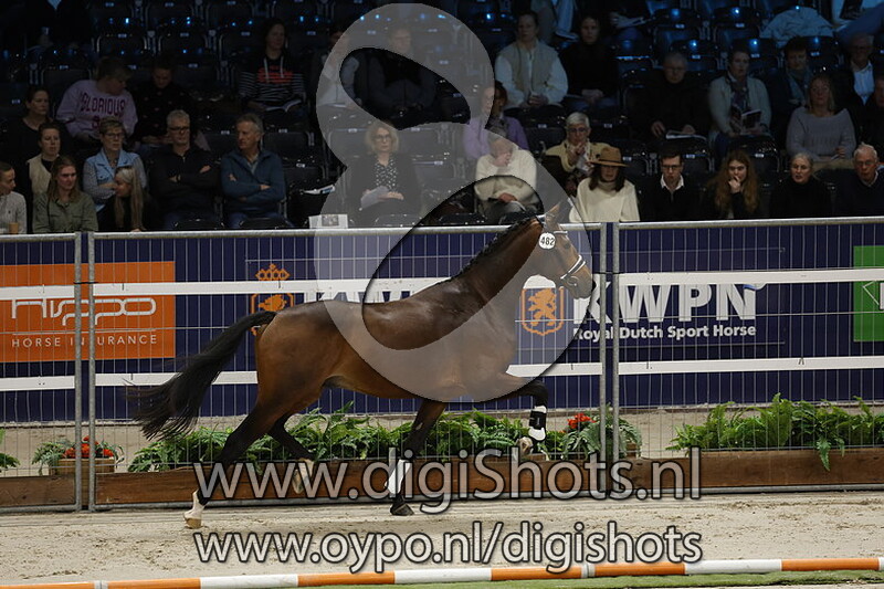 Rio Taonga v. Masterpiece - 482