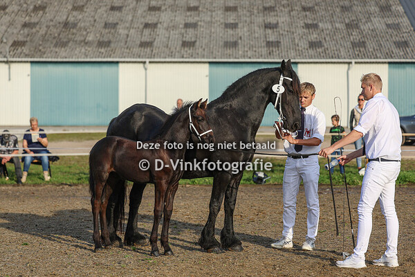 05. Dobbe fan Wijkerzicht