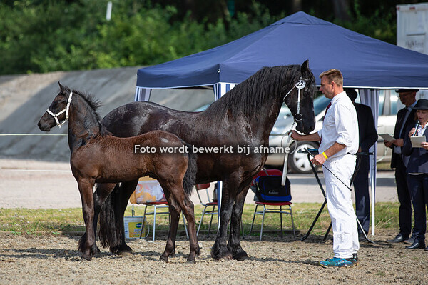 22. Nick van de Domineeshof