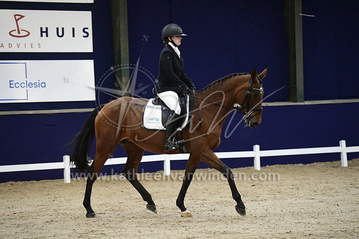 Lieke Struik - American Dream