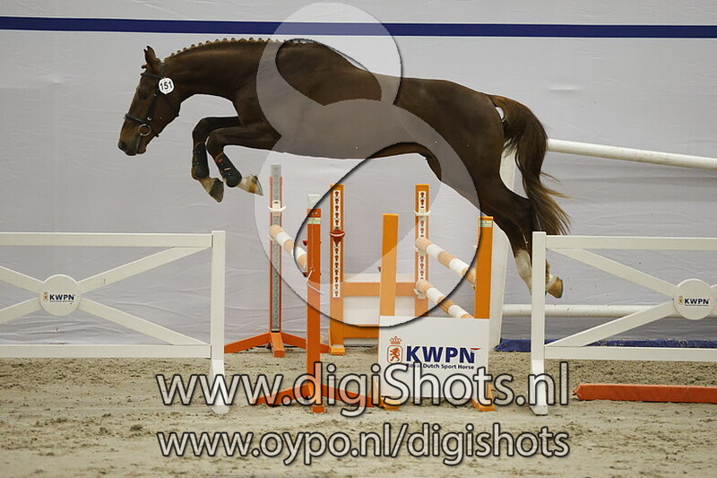 Sapho Touch VK v. United Touch S