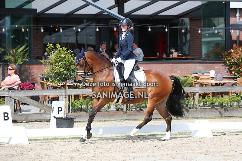 Zilfia's Hoeve Dressuur 28-05-2023 B