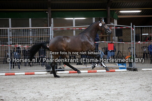 66 Marie-Claire (Ferdinand x  Bjork v. UB 40)