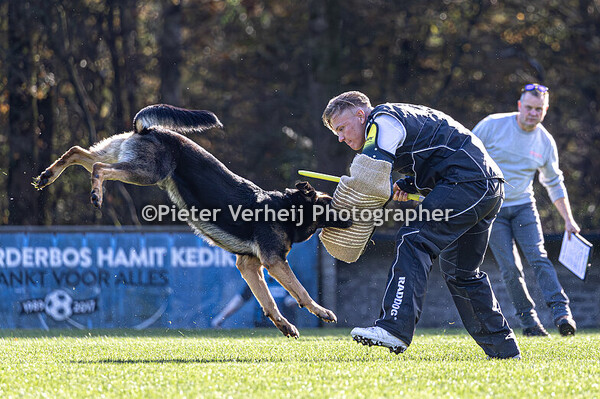Vincent Honselaar with Homer od Jemcinského zámku