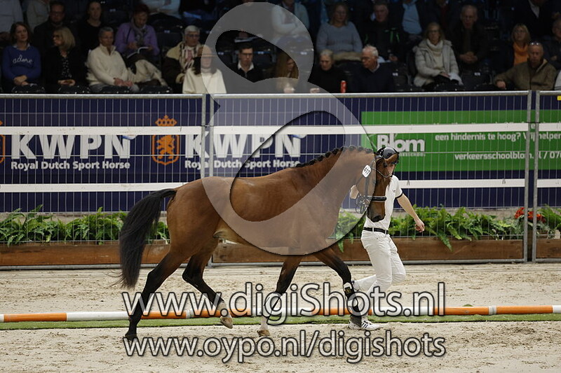 Rs6 v. Johnny Depp - 417