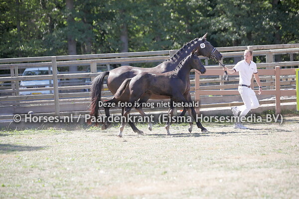 52 Simply the best (Number Two x Desperado)