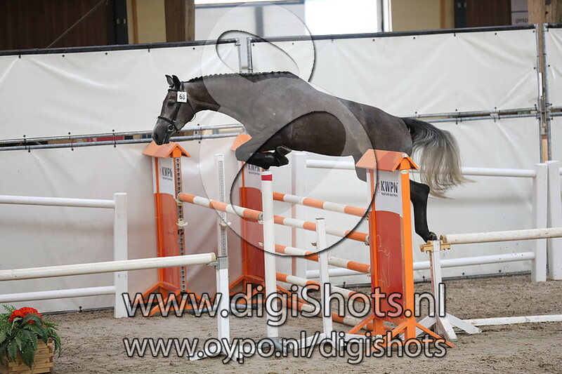 Kornets Prelude RT v. Cornet Obolensky