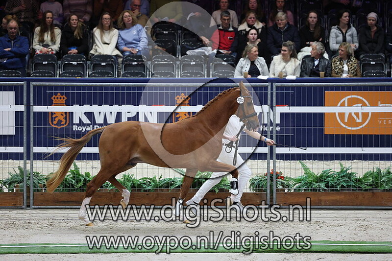 Soeverein v. Bellany