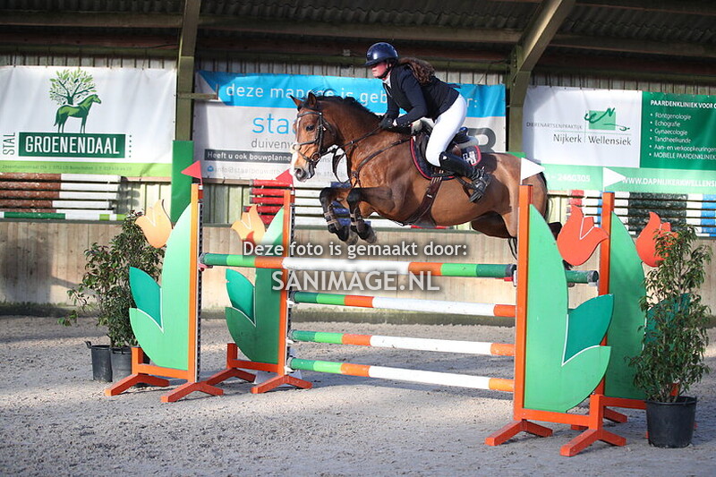 Stal Groenendaal Springen Pony's 23-02-2025 CDE 100+110+120+130 cm Klassiek