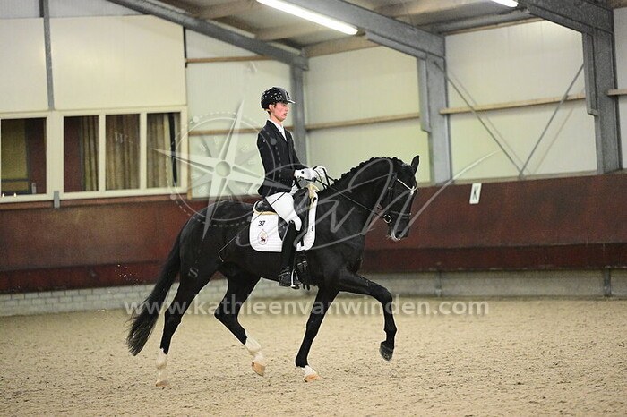 Robert-jan de Visser - Sinatra W