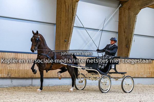 aanleveren hengsten ermelo 20242024