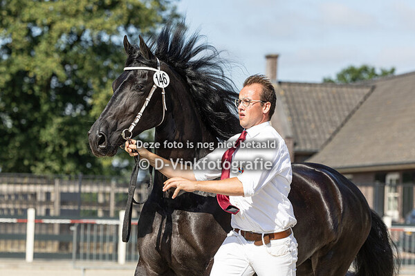 10. Premiekeuring van kroonmerries