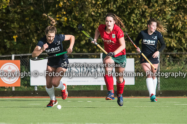 Civicum D1 - HCAS D1