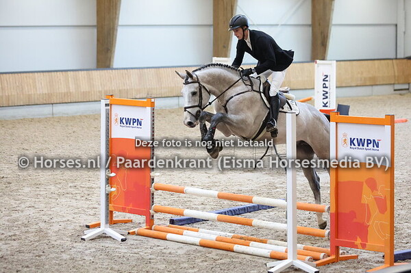 20 Cumano de Zeelande Z (Cumano x Balou du Rouet)