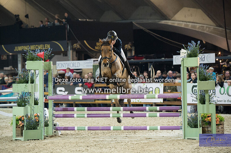 Flandria Rent - JM IM Finale ponies 1m