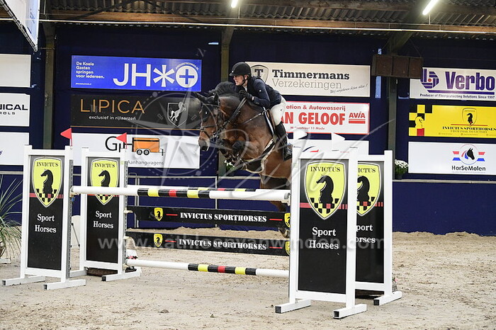 Patricia Greeve - Chilipepper BB-Z