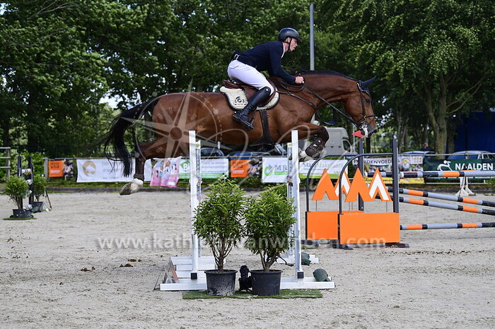 Roy Hanlon - Neeson de Lis