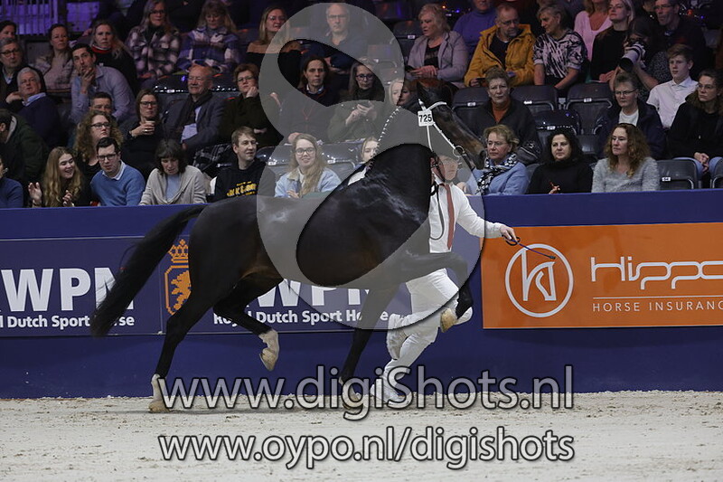 Paco v. Lanto HBC 725