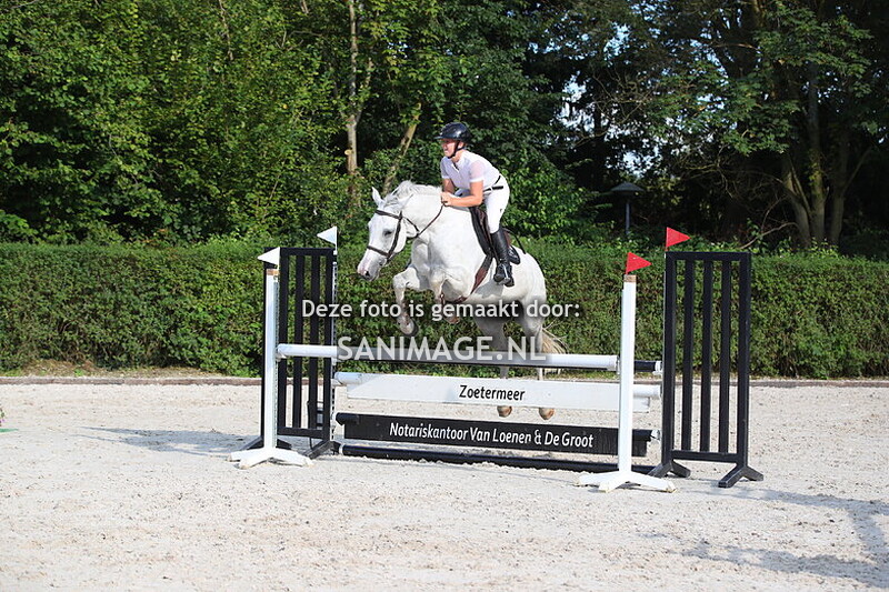 PV Midland Zomerconcours 28-07-2024 Paarden 100 cm