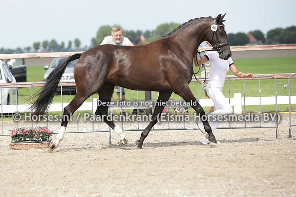 44 Owendy (Franklin x Gwendy v.Zhivago) (1)