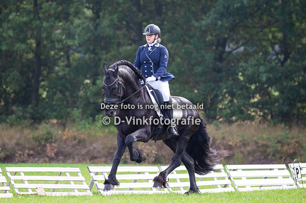 Friese fokdag Hivarenbeek 2019 zondag