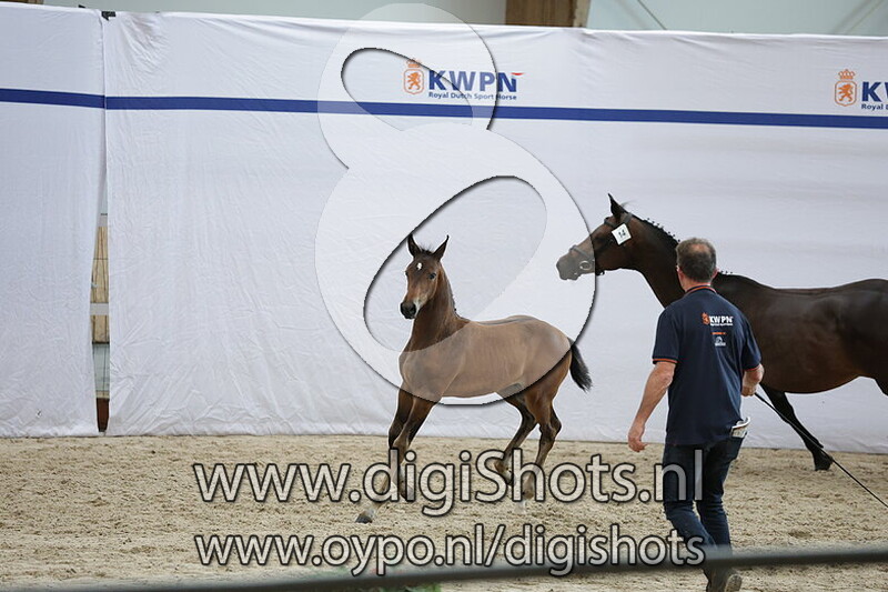 Vincent v. Mindset ES