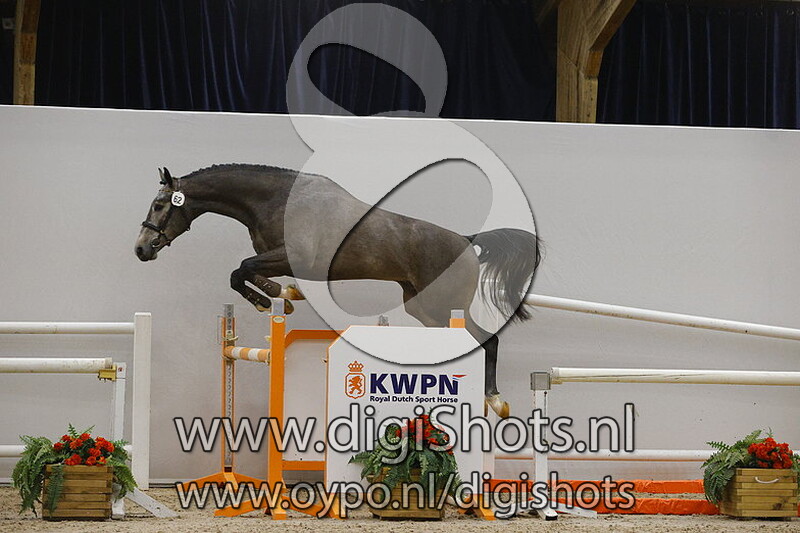 Nyon W v. Cristallo I