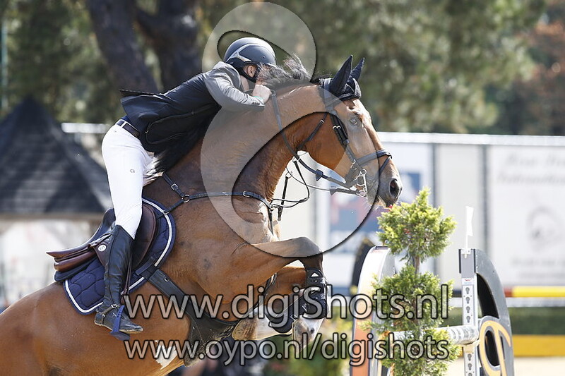 Jitsu Vd Middelstede