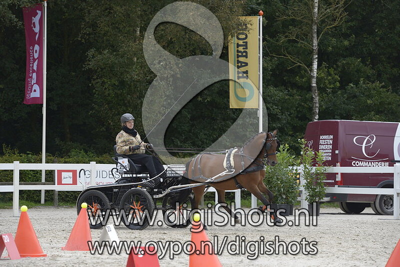 Jolanda Schimmel Gaasbeek