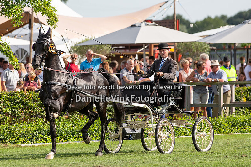 Tuigpaarden ereklasse