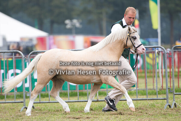 Show Heist-op-den-Berg